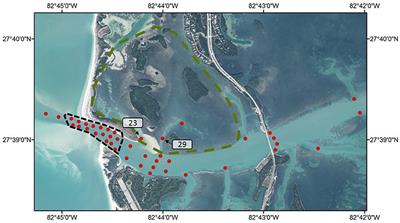 More Than Just a Spawning Location: Examining Fine Scale Space Use of Two Estuarine Fish Species at a Spawning Aggregation Site